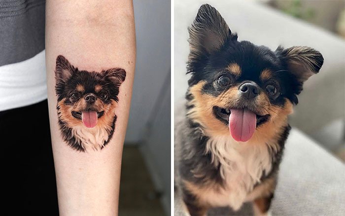 Realistic pet tattoo of a small dog with tongue out, next to its inspiration photo.