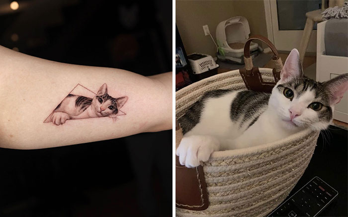Realistic pet tattoo of a cat on an arm, next to a photo of the same cat in a basket.