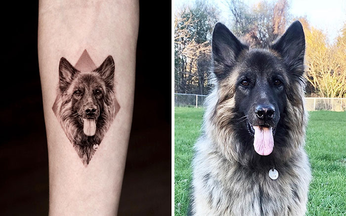 Realistic pet tattoo by Yeono featuring a German Shepherd on a forearm next to a photo of the dog.