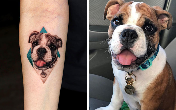 Realistic pet tattoo of a dog on an arm next to the actual dog, showcasing detailed artistry by Yeono.