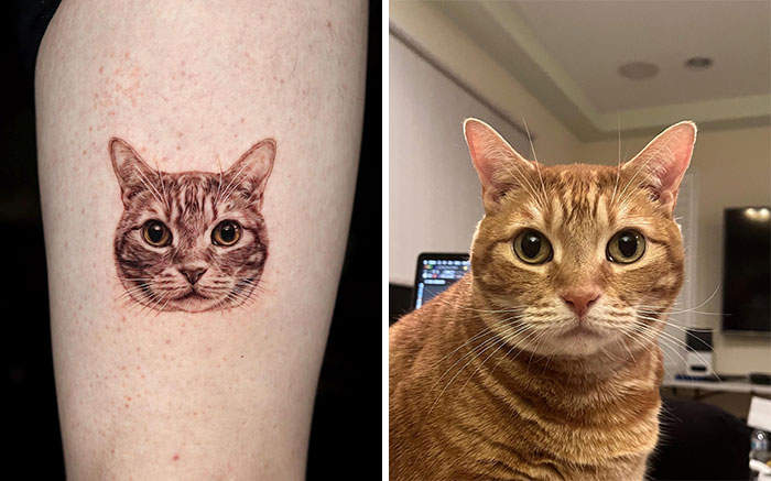 Realistic pet tattoo of a cat's face on skin next to a photo of the actual cat, showcasing tattoo artistry by Yeono.