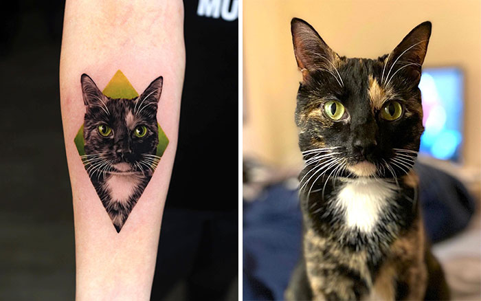 Realistic pet tattoo of a cat on an arm alongside the cat it resembles.