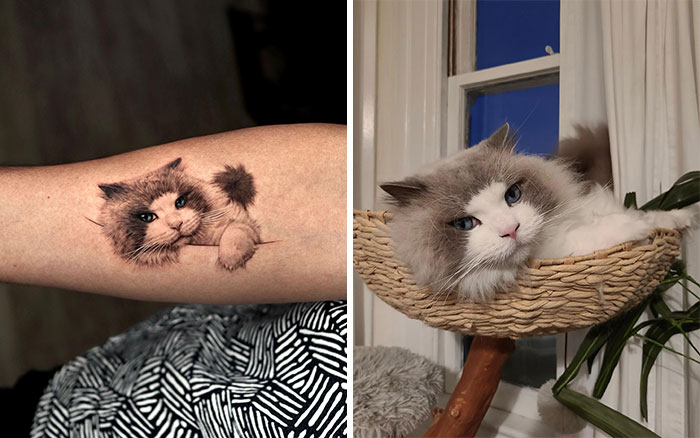 Cat Tattoo