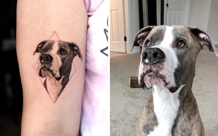 Realistic pet tattoo by Yeono on arm beside a photo of the actual dog.