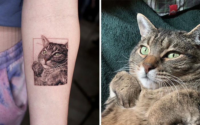 Realistic pet tattoo of a tabby cat on an arm, next to a photo of the actual cat with green eyes lounging.
