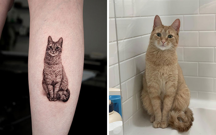 Realistic pet tattoo of a cat on an arm alongside the actual cat sitting in a white tiled space.