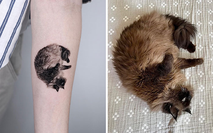 Realistic pet tattoo of a sleeping cat on an arm next to the actual cat in the same pose on a blanket.
