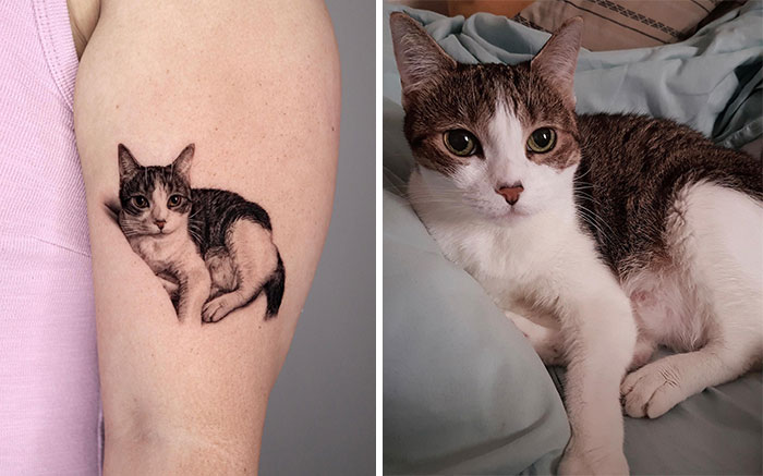 Realistic pet tattoo of a tabby cat on an arm, alongside the actual cat lounging on a bed.