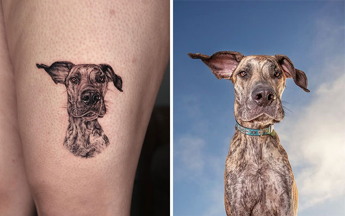 Realistic pet tattoo of a Great Dane by Yeono next to a photo of the dog against a clear sky.