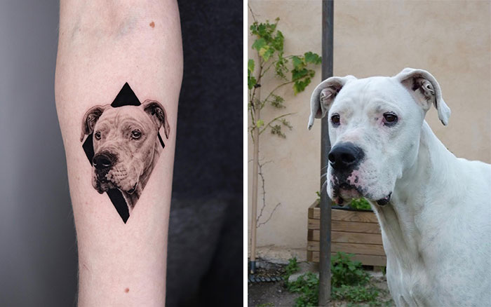 Dog Tattoo