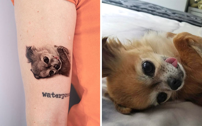 Realistic pet tattoo by Yeono on an arm, next to a small dog lying down.