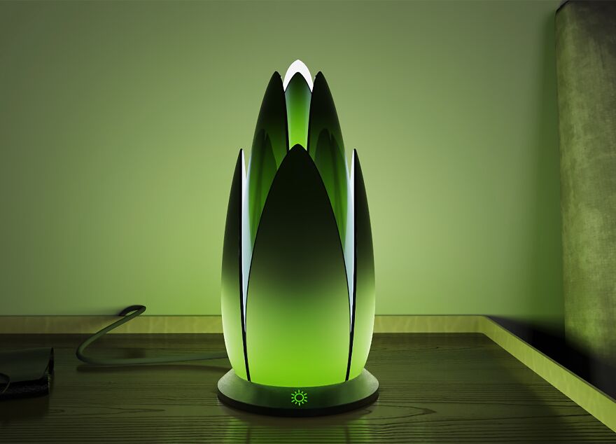 "Aloe Vera Lighting" By Afshin Mehdizadegan Hosseini