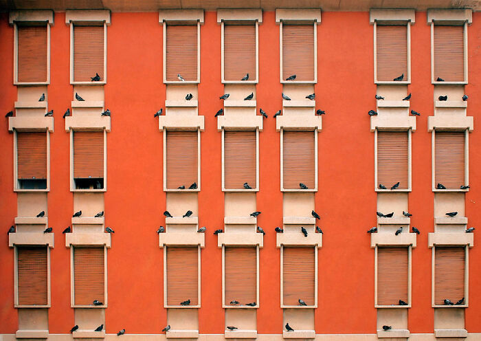 30 Items That Are Only Popular In Some Countries, Even Though They Should Be Popular Worldwide