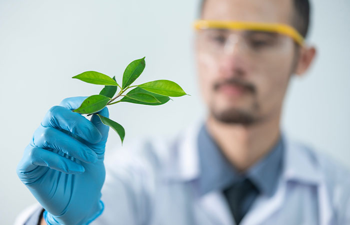 &ldquo;Amazing&rdquo; Video Of Plants Talking Has Social Media Reconsidering How They Thought About Life