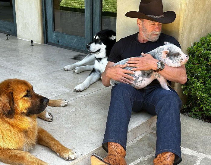 From Lulu The Donkey To Schnelly The Pig: Meet Arnold Schwarzenegger&rsquo;s Pet Paradise