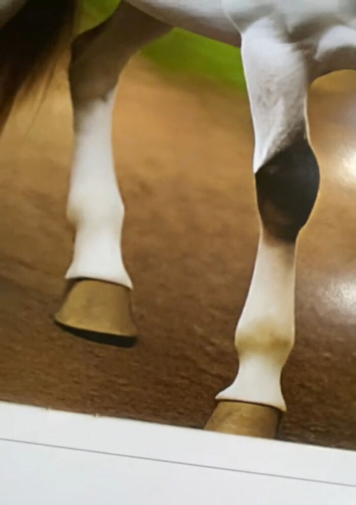 Esta mujer se compró un calendario con fotos de caballos, pero resultó ser demasiado extraño