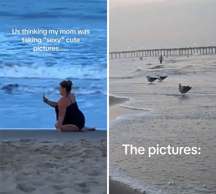 This Is Extremely Wholesome And Cute