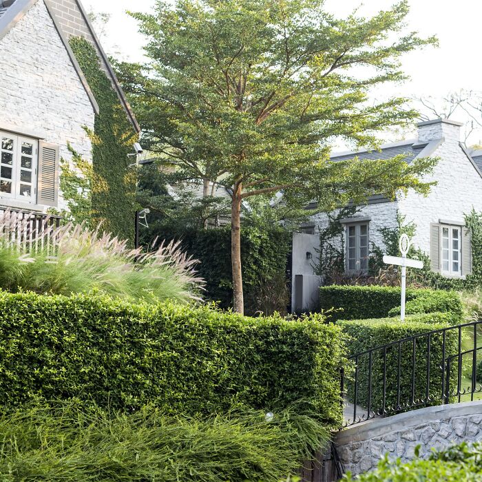 Front yard with trees and flowers