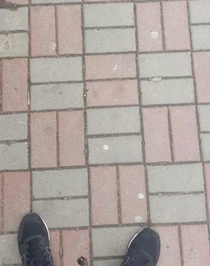 ‘You Had One Job’: 50 Hilarious Fails That People Couldn’t Help Sharing