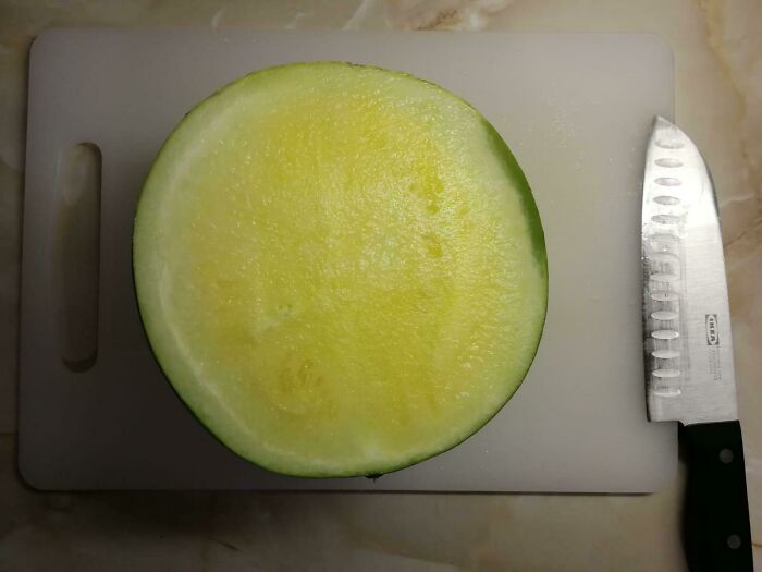 We Still Ate It (Watermelon)