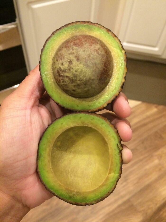 Really Avocado? I Lost The Avocado Lottery