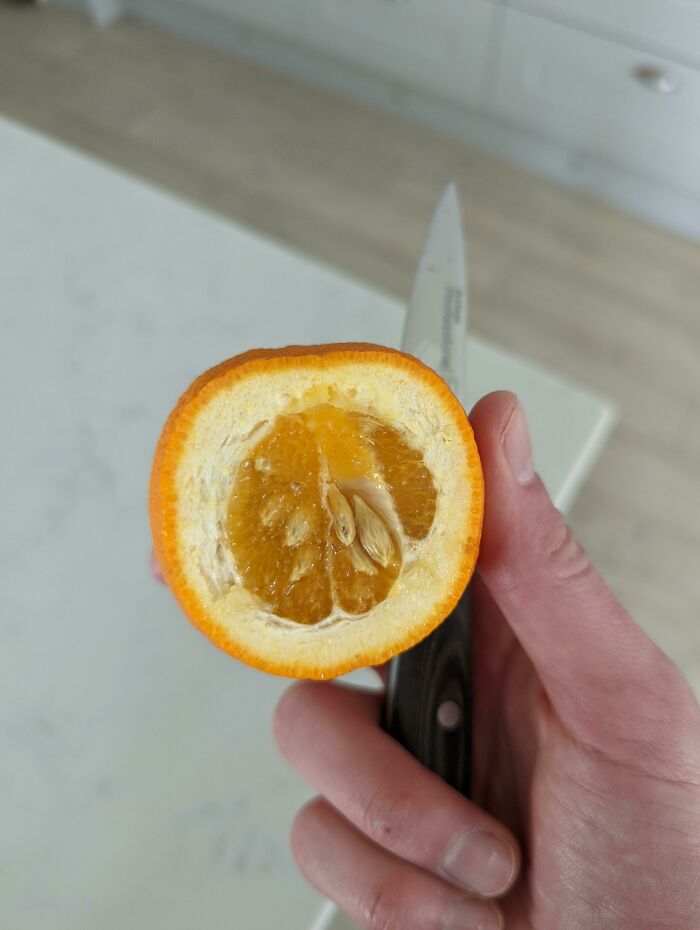 I Lost The Orange Lottery