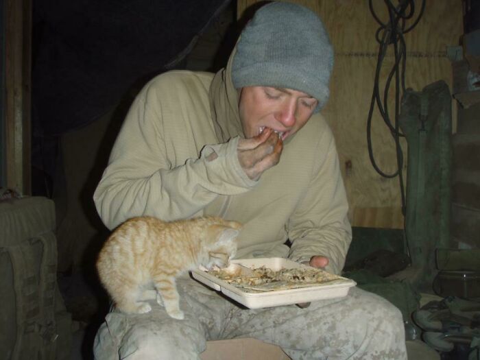 A person in a gray beanie sharing food with an orange tabby kitten, showcasing one of the cutest cats ever to melt hearts.