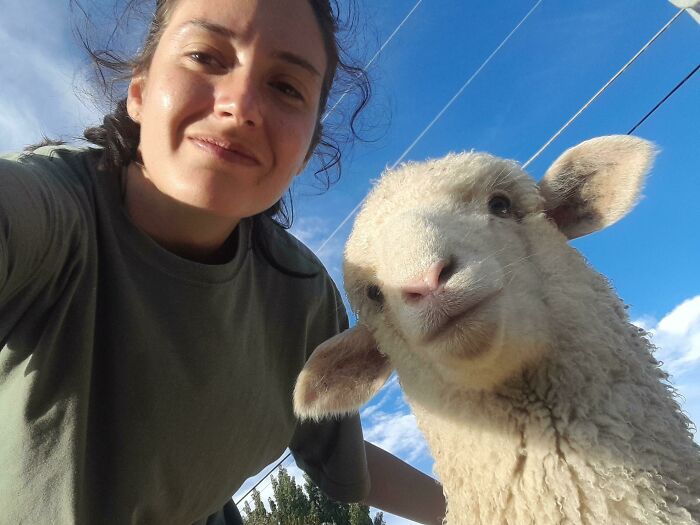 Woman smiling next to a sheep, capturing a funny and candid moment of animals being their hilarious selves outdoors.