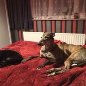 skippy19502009 avatar