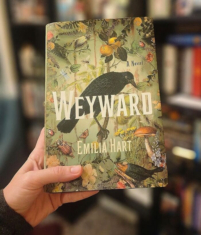 HISTORICAL FICTION: Weyward By Emilia Hart