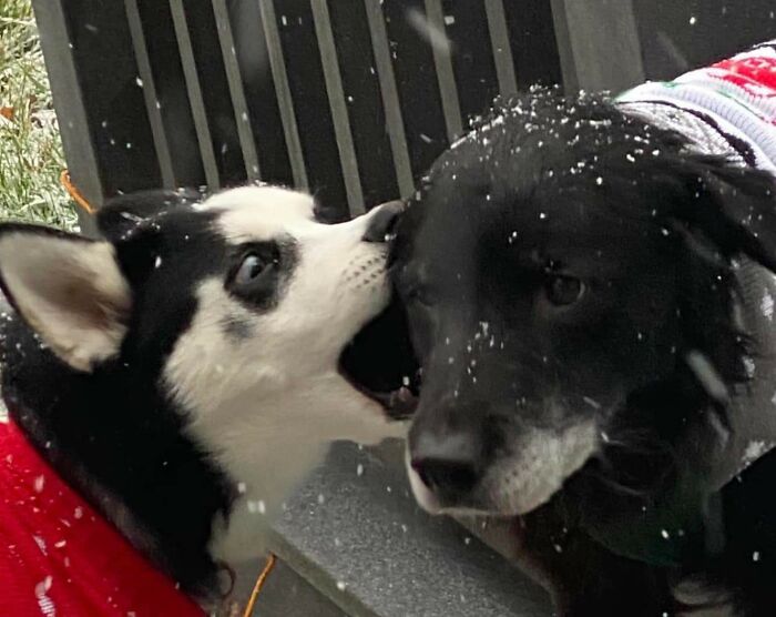 “Can You Hear Me Now?”