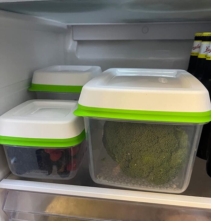 Keep Your Produce Peeking Out Like, 'Yep, Still Fabulous!' Because With A Savvy Saver Like This, The Only Thing You’re Tossing Is A Salad, Not Your Cash.