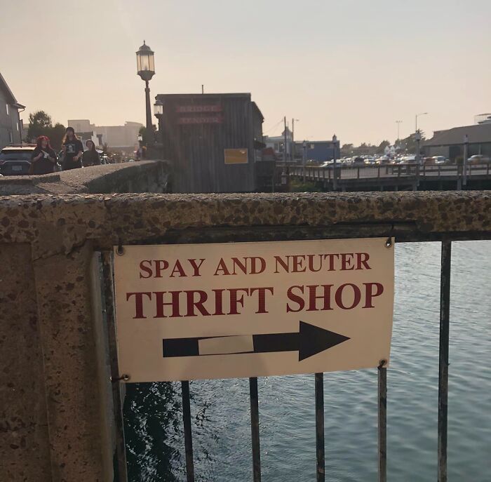 Please-May-I-Have-A-Crumb-Of-Context