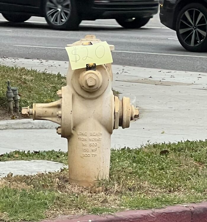 Please-May-I-Have-A-Crumb-Of-Context