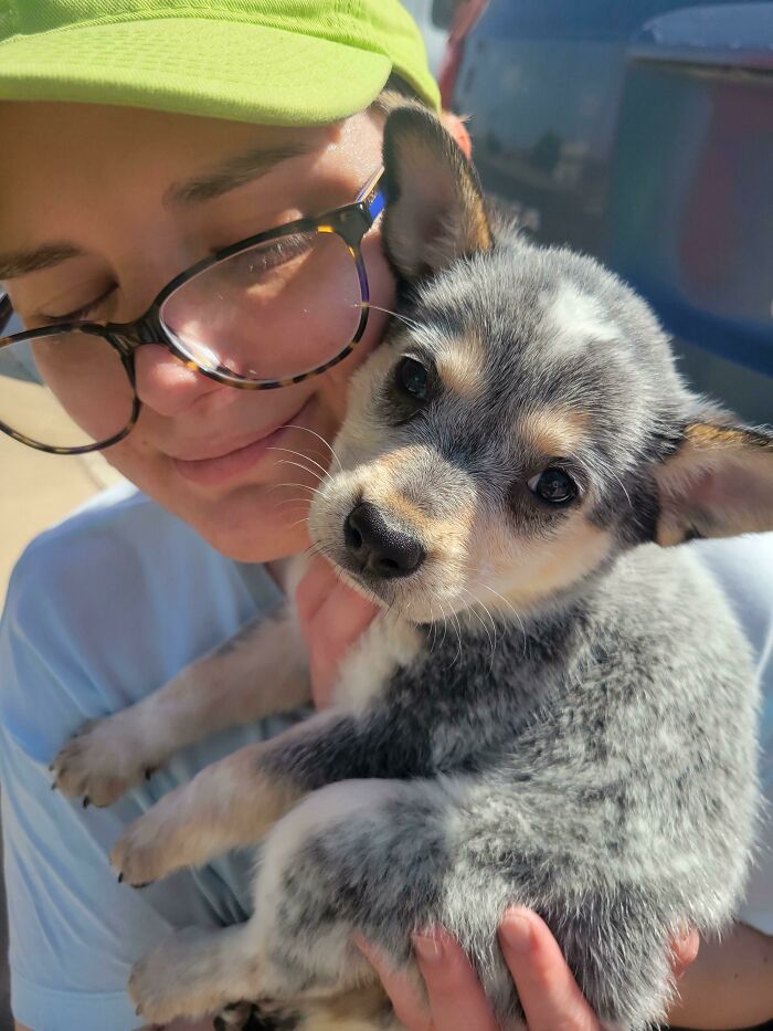 Person wearing glasses and a green cap holding and cuddling one of the cutest dogs ever with mottled fur outdoors.