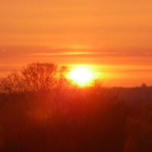 sidewaysaction avatar