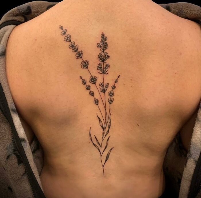 Elegant floral spine tattoo featuring lavender stems on a person's back.