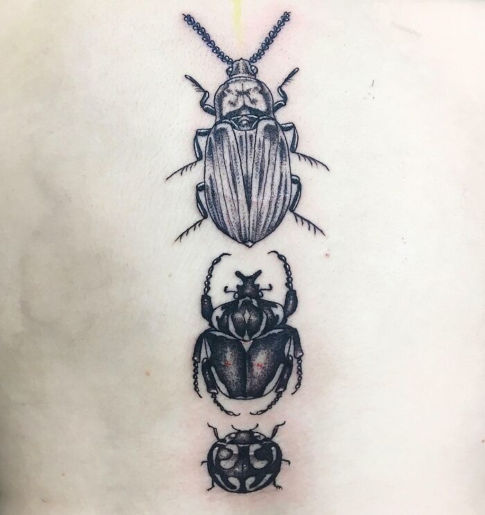 Beetle spine tattoo design with intricate details.
