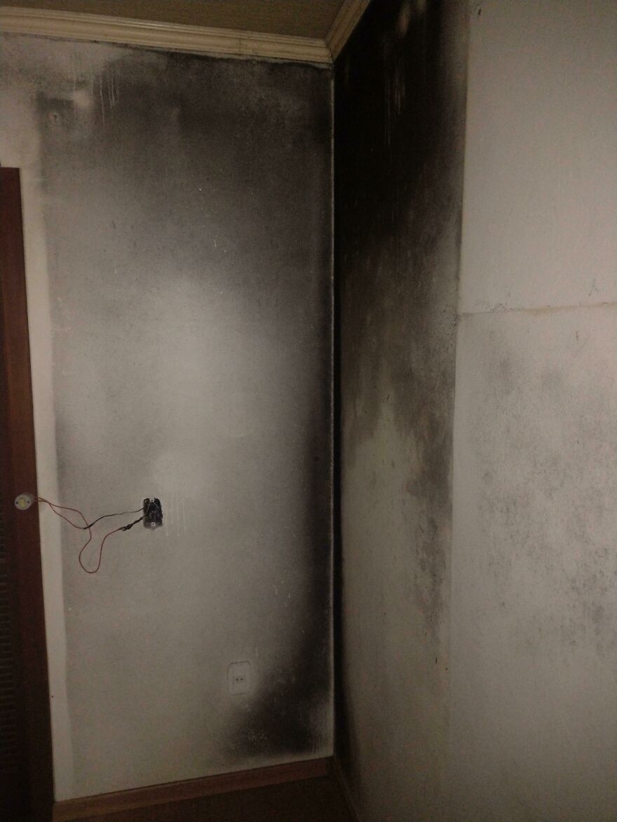 Found This Behind My Wardrobe Yesterday... I'm Extremely Allergic To Mold...