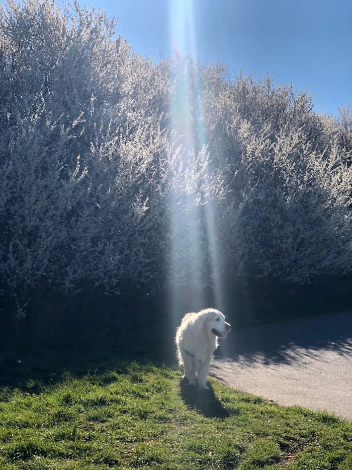 Right Spot At The Right Time