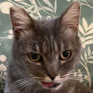 audramurphy2003 avatar