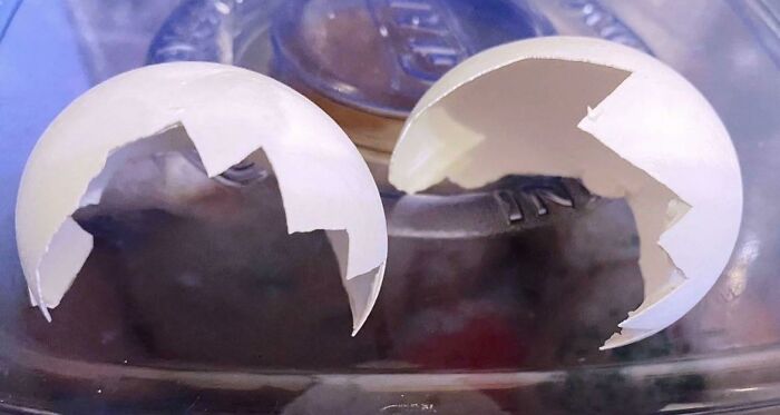 This Egg That Cracked Like A Cartoon