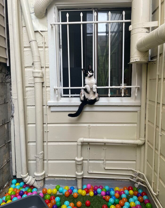 Came Outside To Find Him In A Difficult Situation