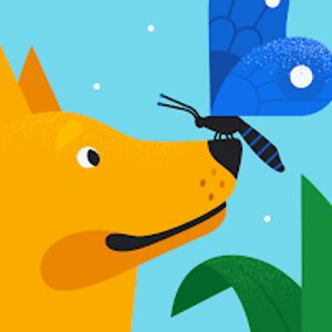 ellavanrooyen avatar