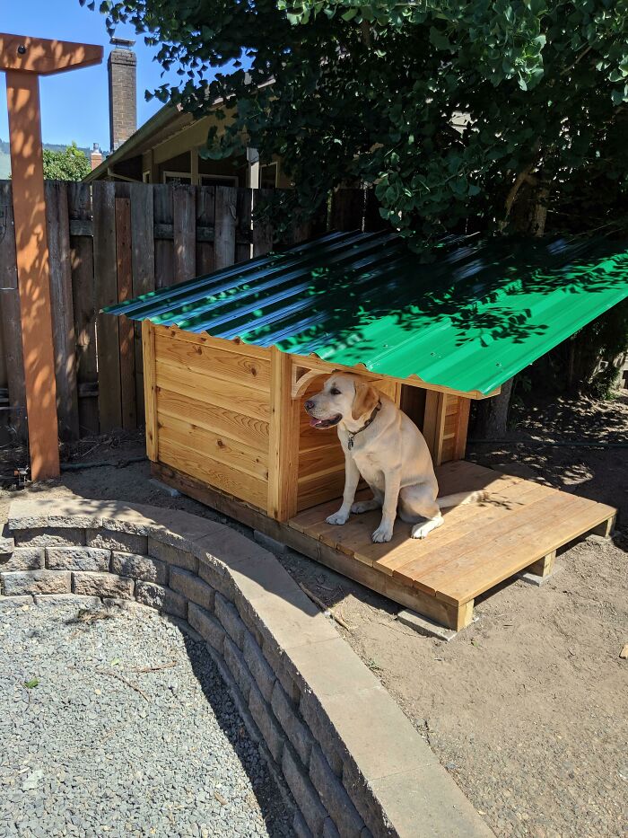 Le hice una hacienda a mi perro