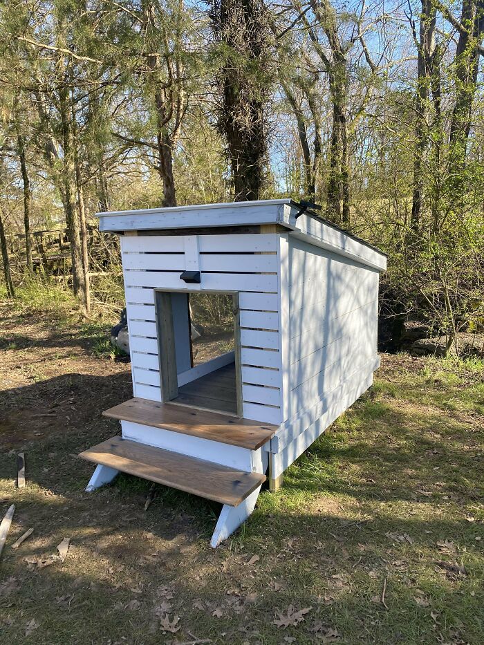 Built My Puppy A House Out Of Scrap Materials From A Job I Was Working At. I’m An Electrician Just Had To Buy Screws / Nails And Solar Lights!