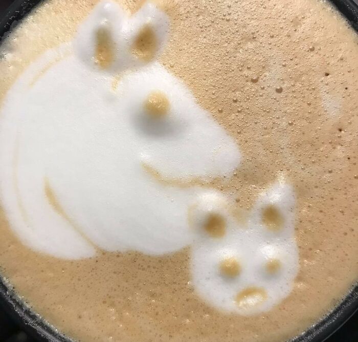 What Is This Supposed To Be?