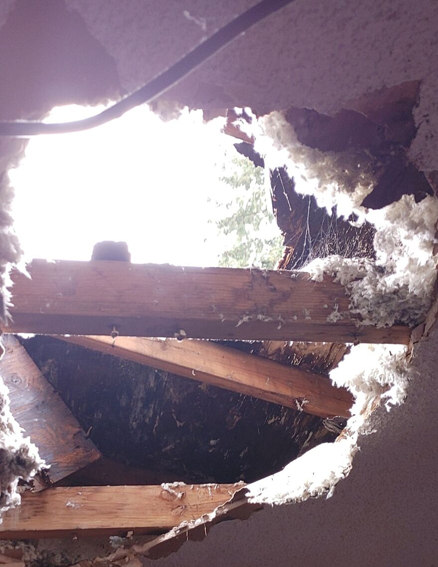 I Met The Guy Putting A New Roof On My Apartment Today