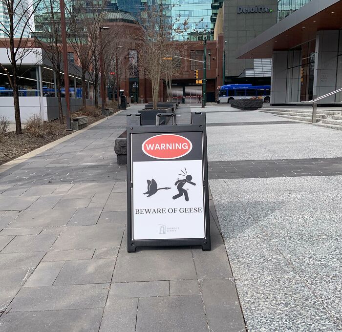 It’s Getting Pretty Dangerous Downtown