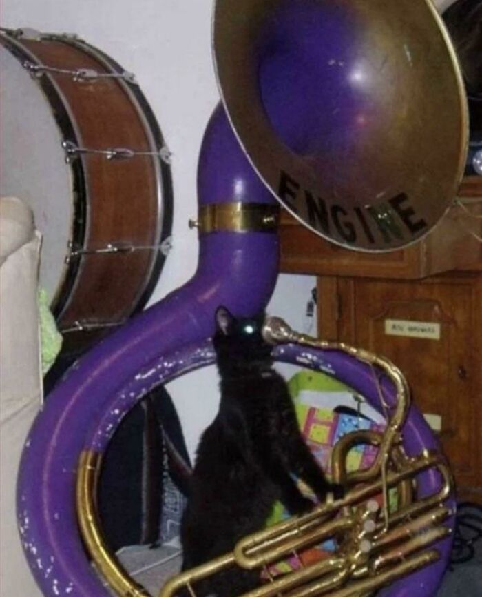Cursed_tuba_player